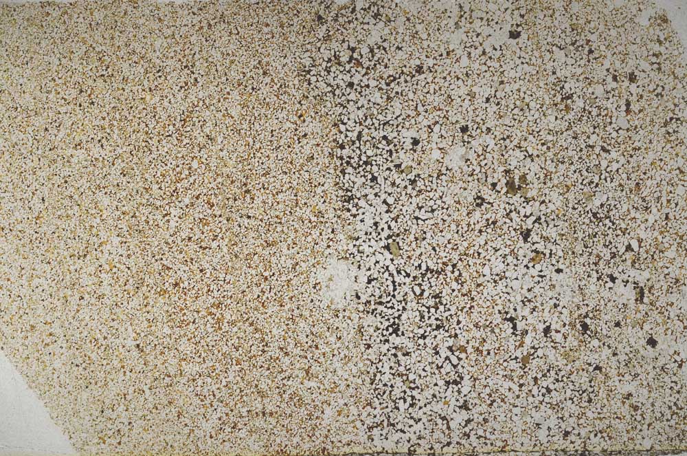 Plane Polarized, S61682