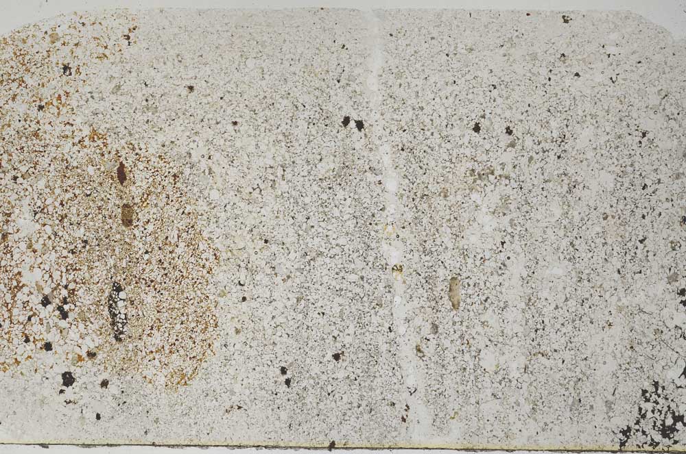 Plane Polarized, S61683