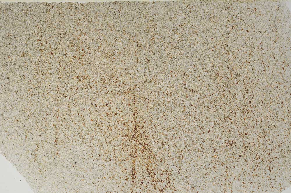 Plane Polarized, S61695