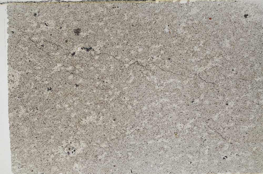 Plane Polarized, S61730