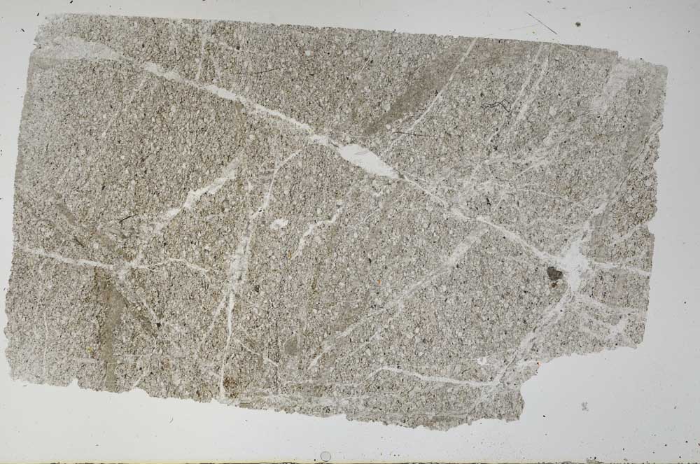 Plane Polarized, S61735