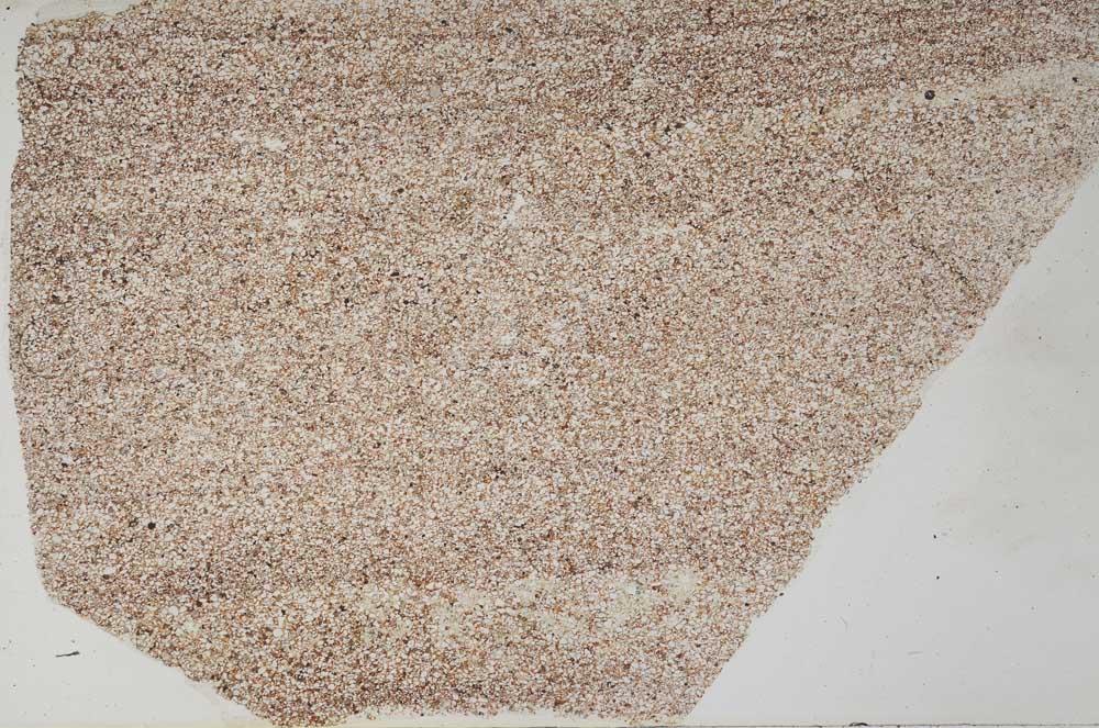 Plane Polarized, S61754