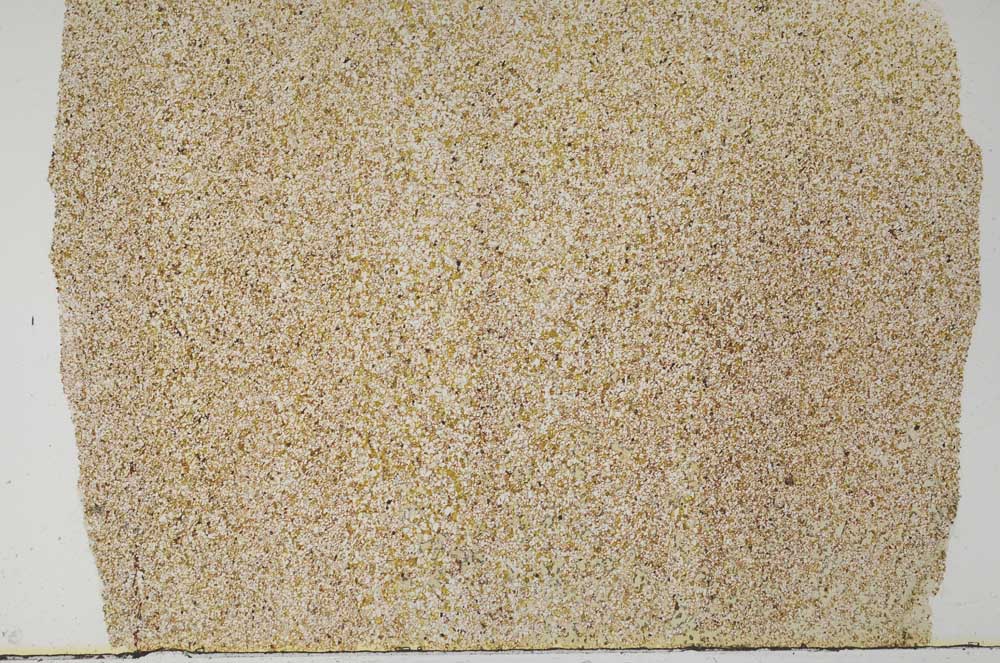 Plane Polarized, S61757/A