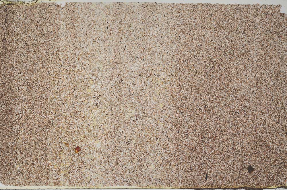 Plane Polarized, S61757