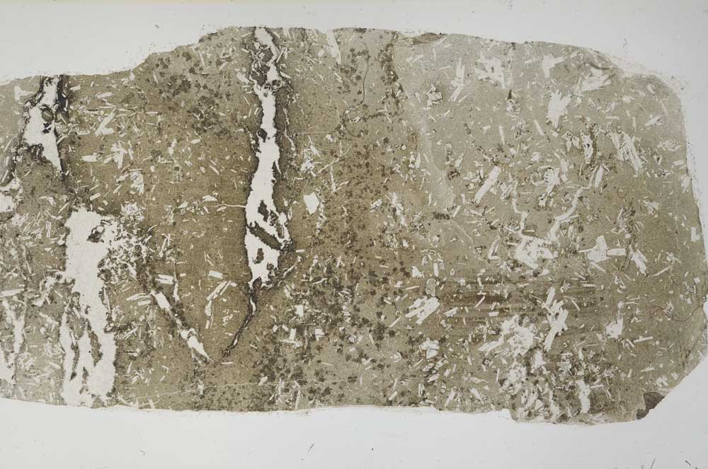 Plane Polarized, S61758