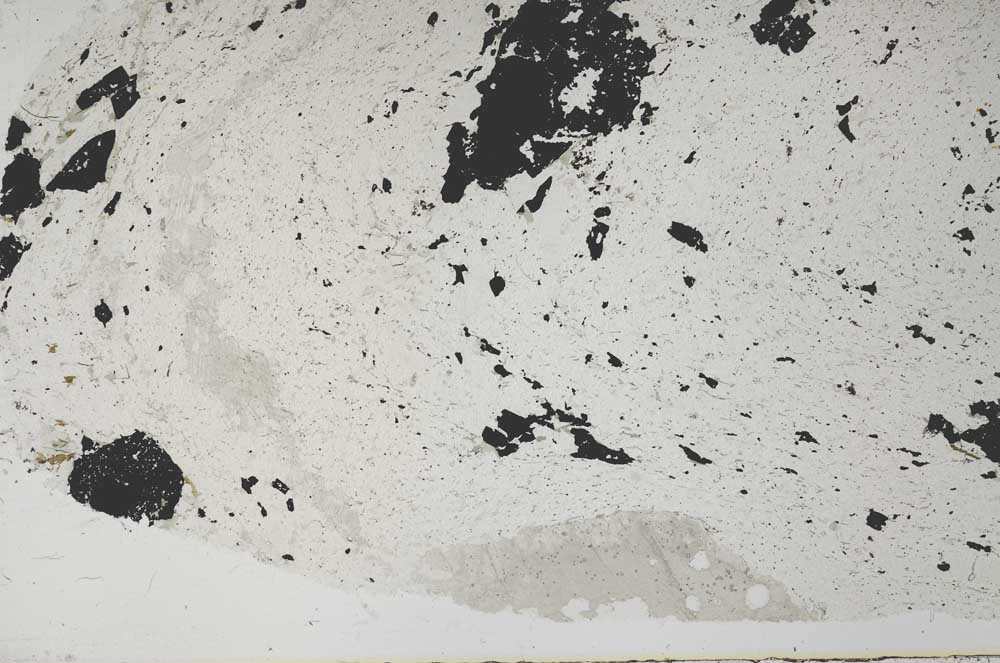 Plane Polarized, S61776