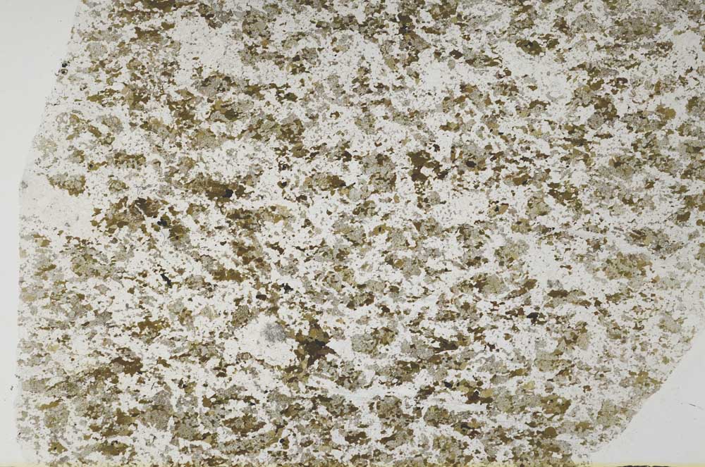 Plane Polarized, S61862