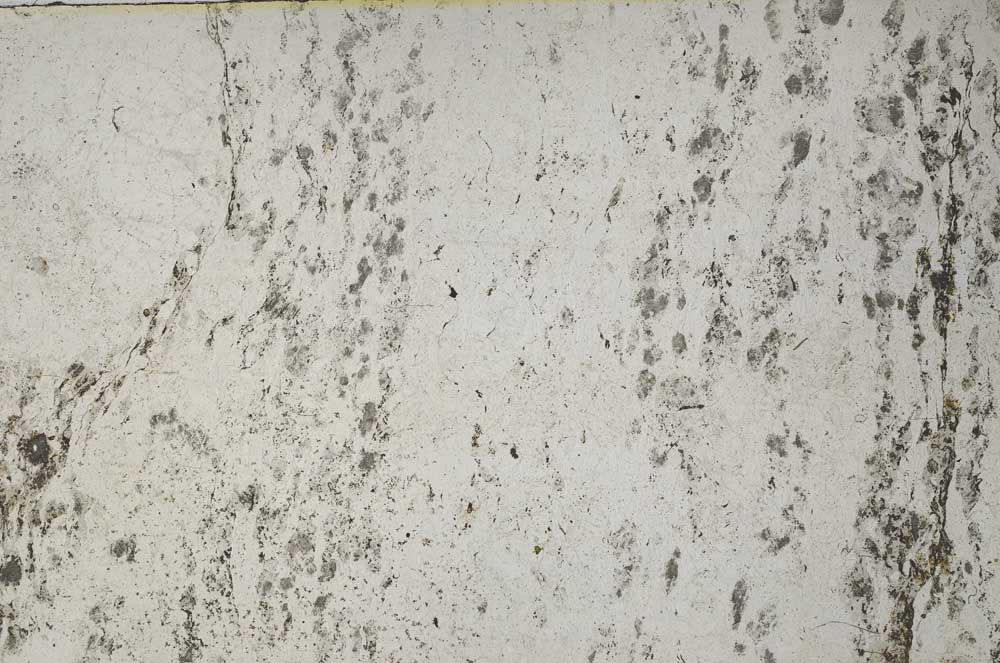 Plane Polarized, S61869