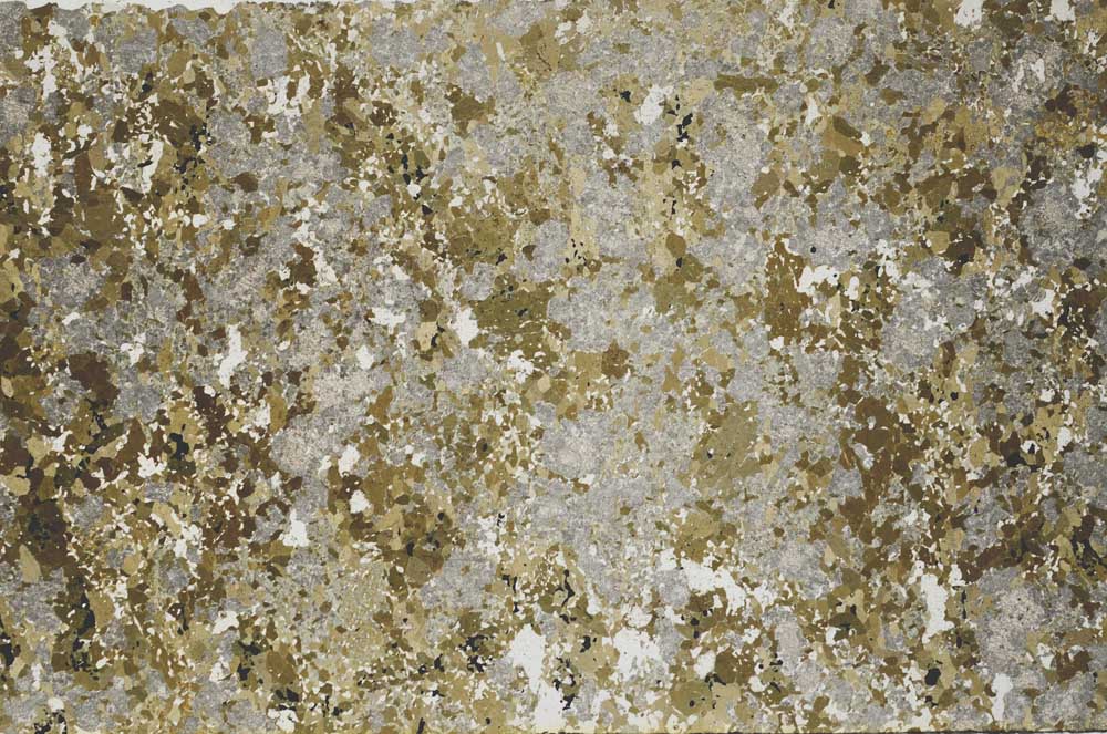 Plane Polarized, S61870