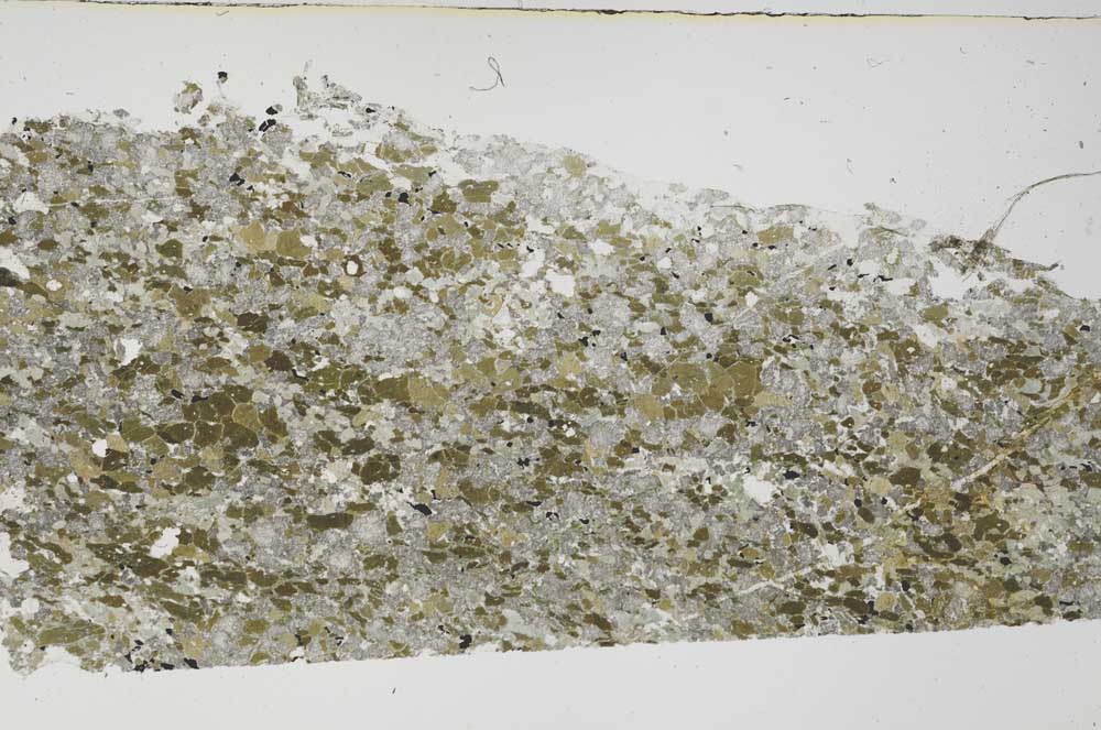 Plane Polarized, S61873