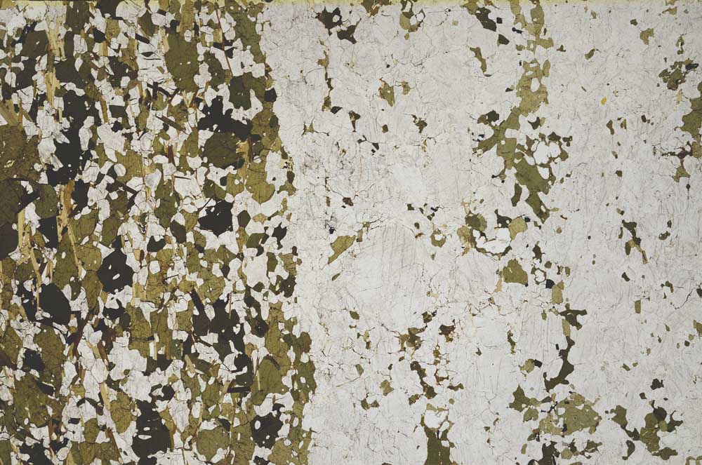 Plane Polarized, S61889