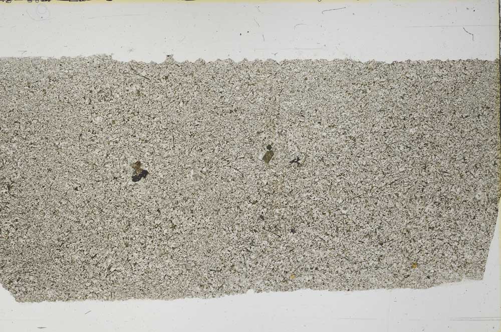 Plane Polarized, S61890