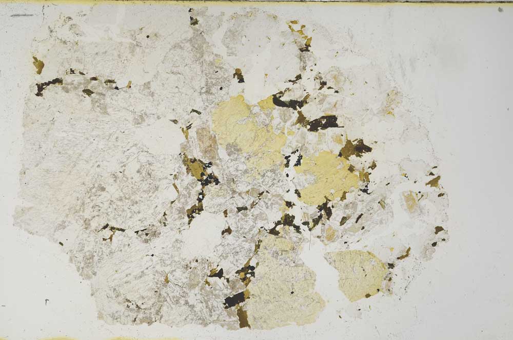 Plane Polarized, S61896