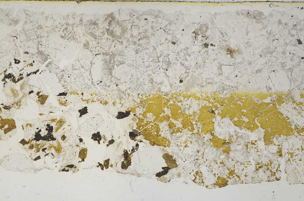 Plane Polarized, S61897