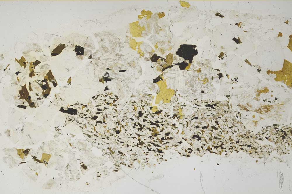 Plane Polarized, S61898