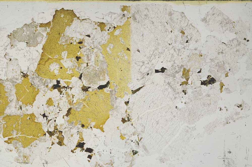 Plane Polarized, S61899