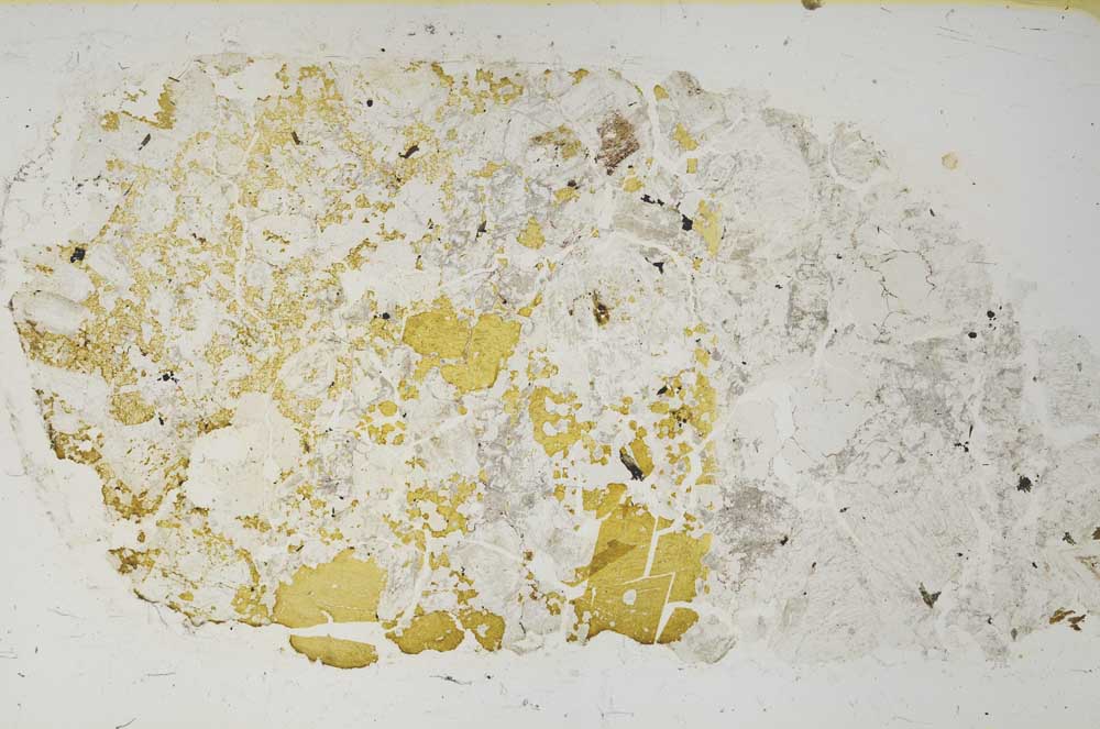 Plane Polarized, S61901