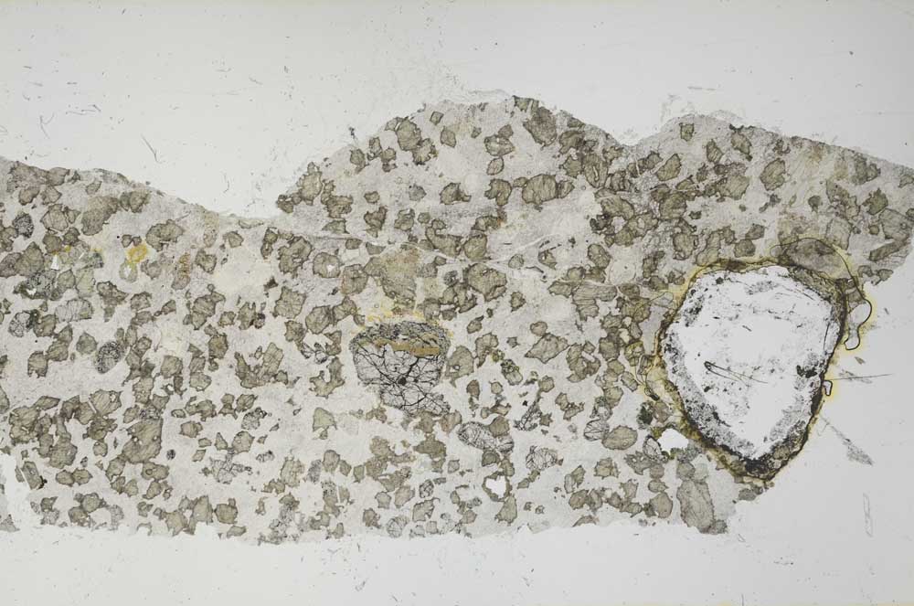 Plane Polarized, S61904/A