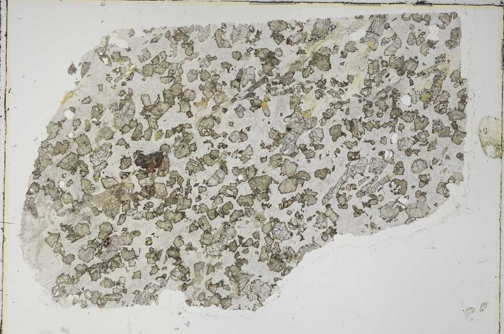 Plane Polarized, S61905