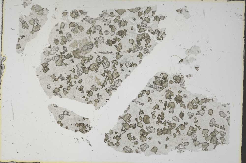 Plane Polarized, S61906