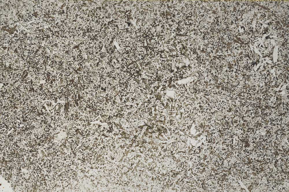 Plane Polarized, S61915
