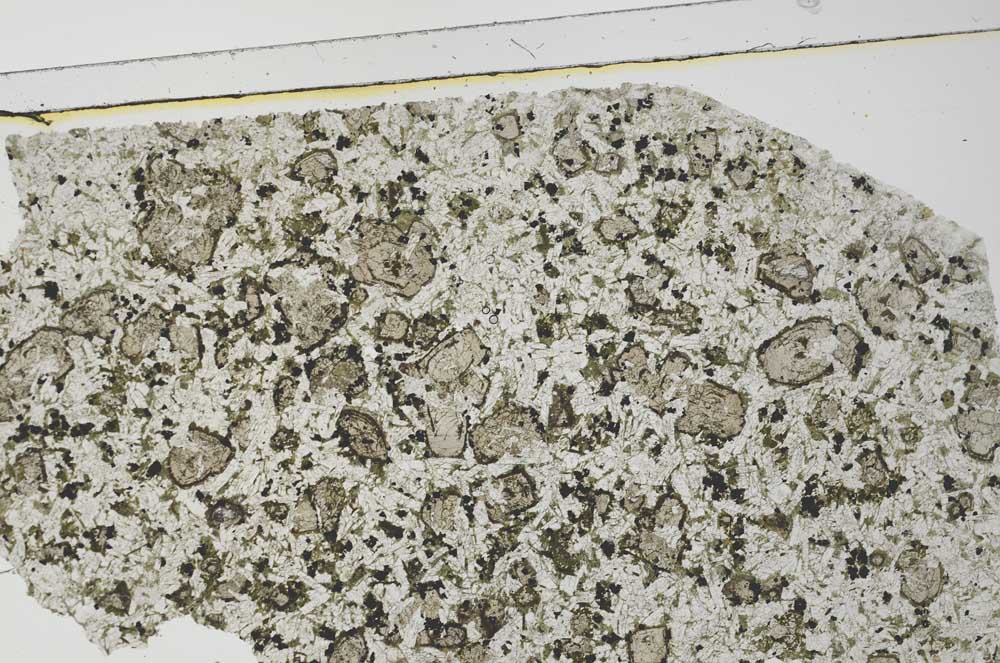 Plane Polarized, S61919