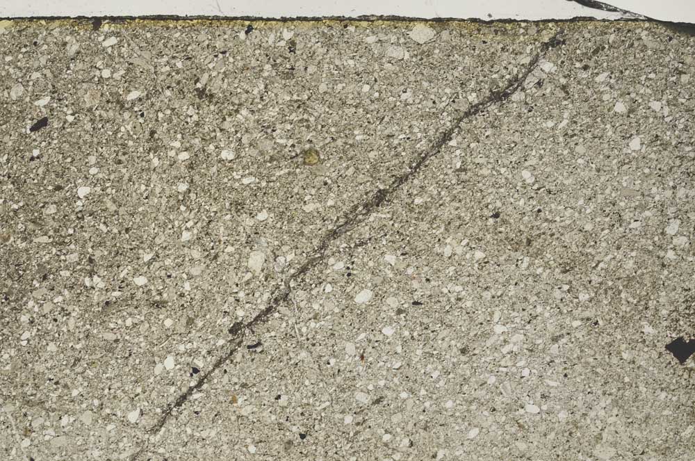 Plane Polarized, S61932