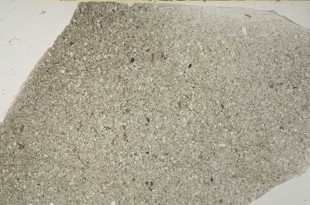 Plane Polarized, S61939