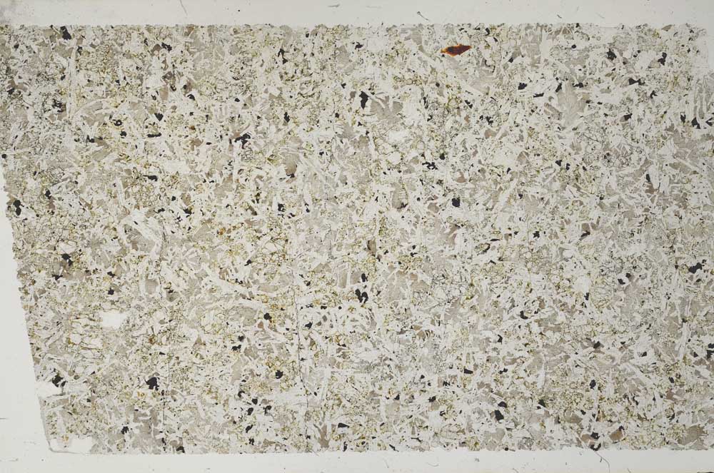 Plane Polarized, S61955