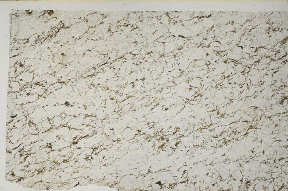 Plane Polarized, S61961