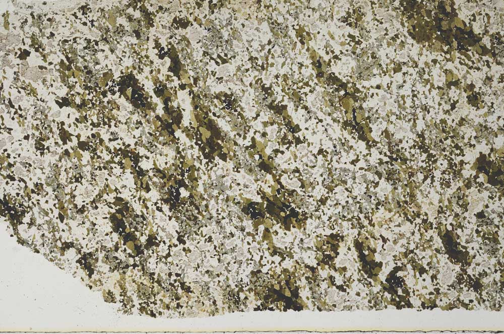 Plane Polarized, S61963