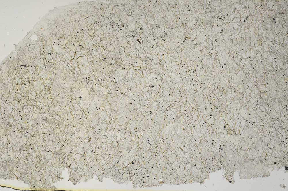 Plane Polarized, S61965