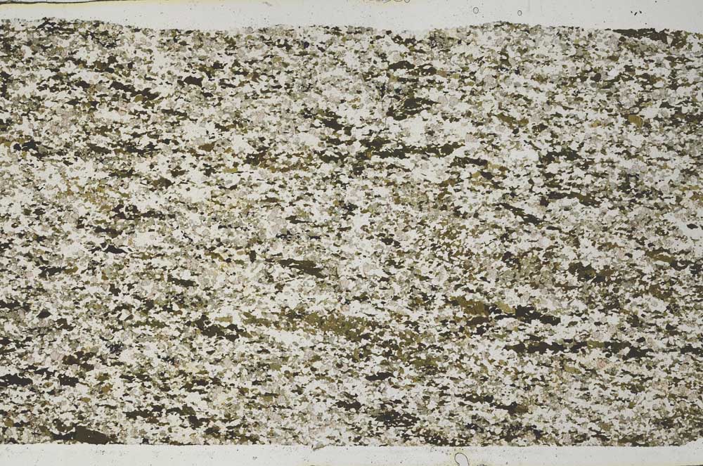 Plane Polarized, S61978