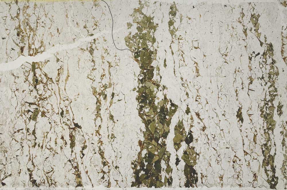 Plane Polarized, S61980