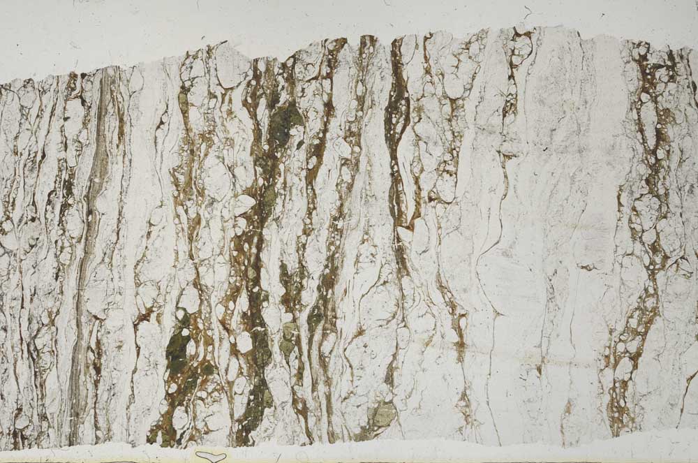 Plane Polarized, S61982