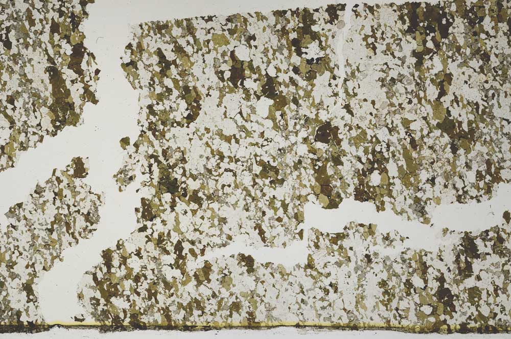 Plane Polarized, S61983