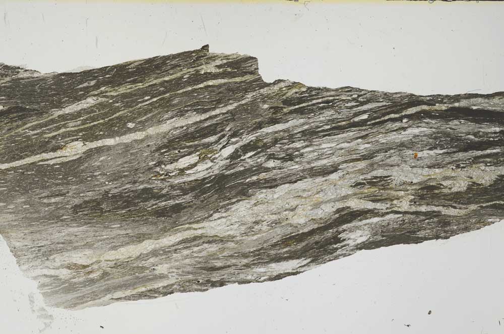 Plane Polarized, S61986