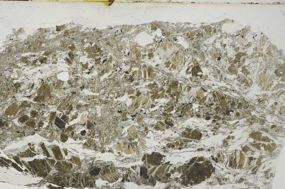 Plane Polarized, S61993