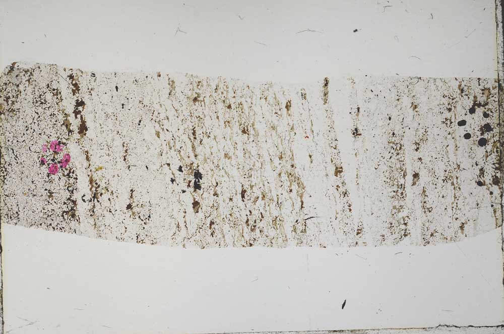 Plane Polarized, S62013