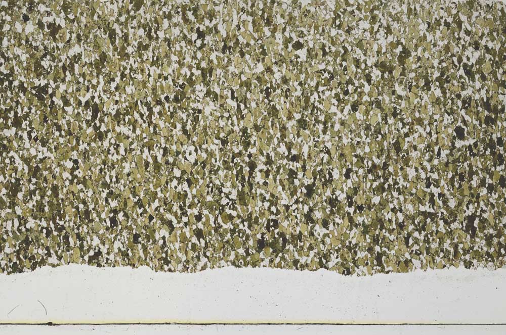 Plane Polarized, S62019