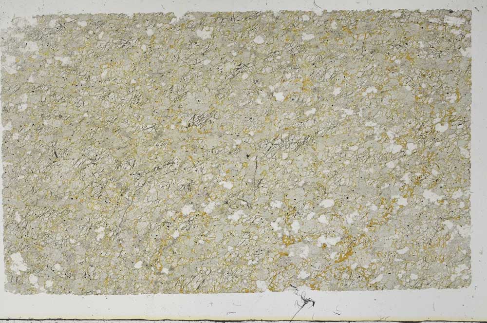 Plane Polarized, S62021