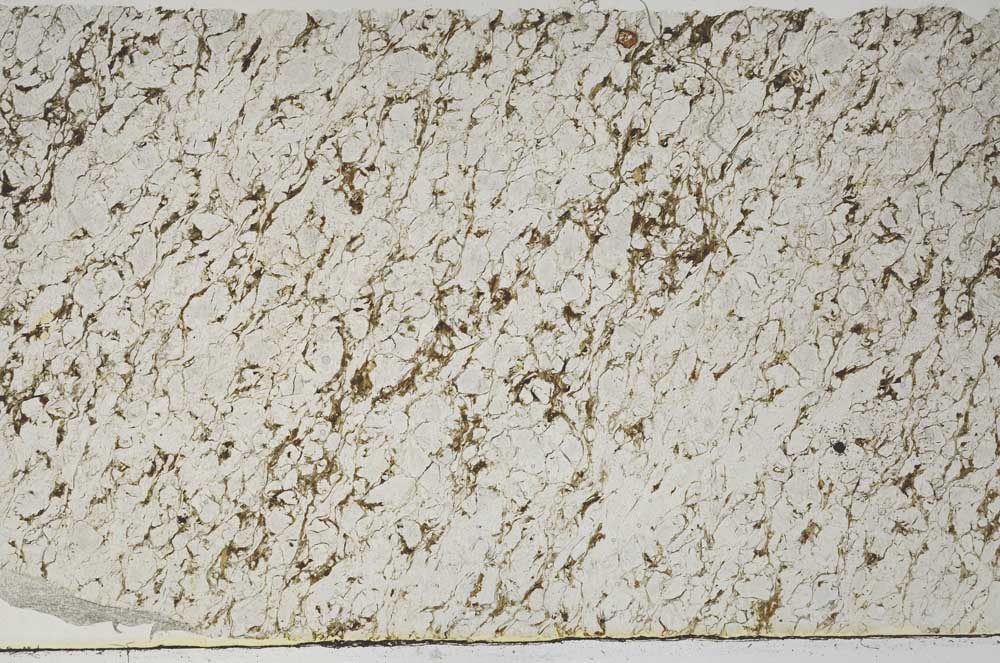 Plane Polarized, S62023