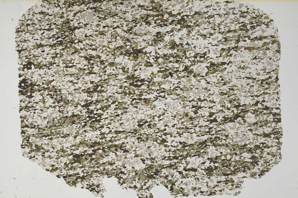 Plane Polarized, S62024