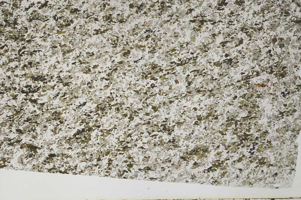 Plane Polarized, S62025