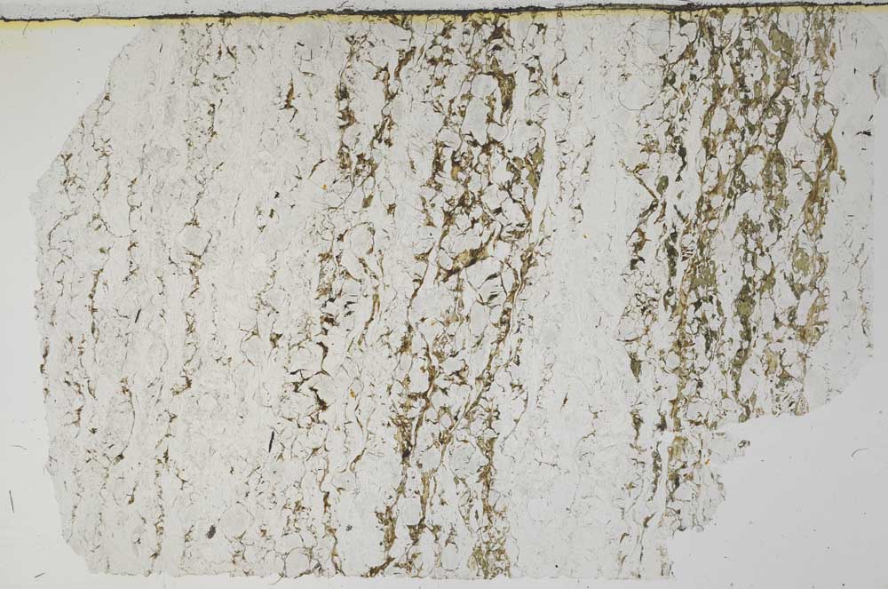 Plane Polarized, S62058