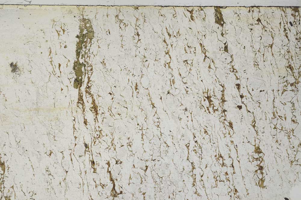 Plane Polarized, S62059