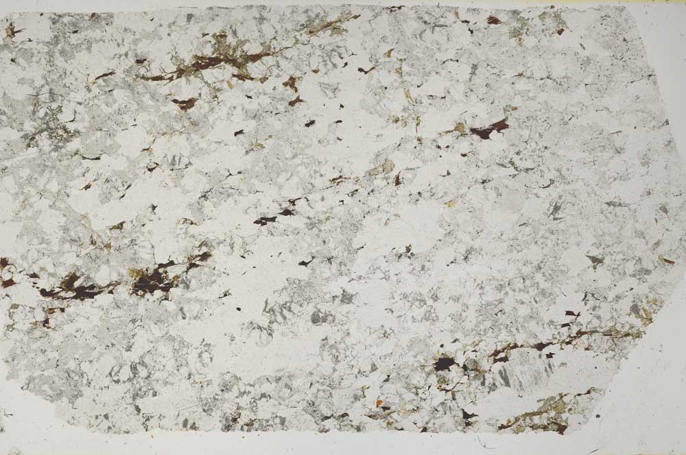 Plane Polarized, S62077