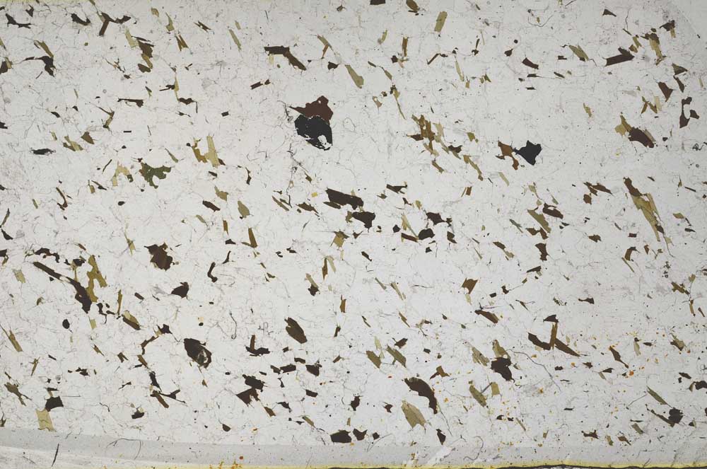 Plane Polarized, S62084