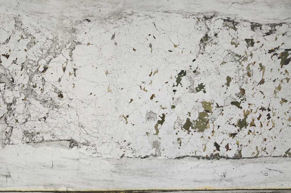 Plane Polarized, S62085/A