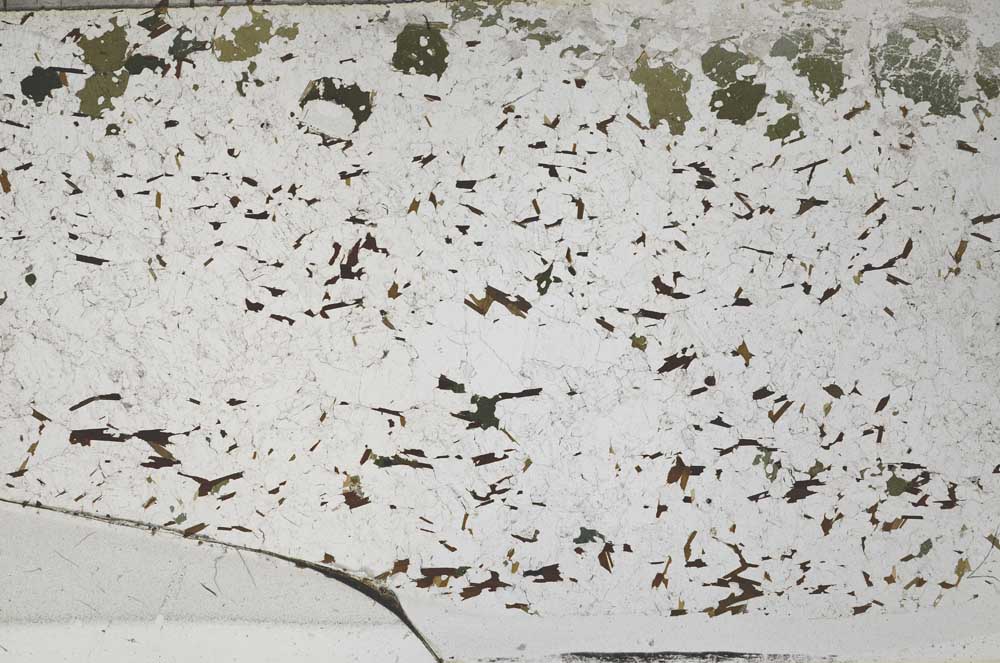 Plane Polarized, S62086